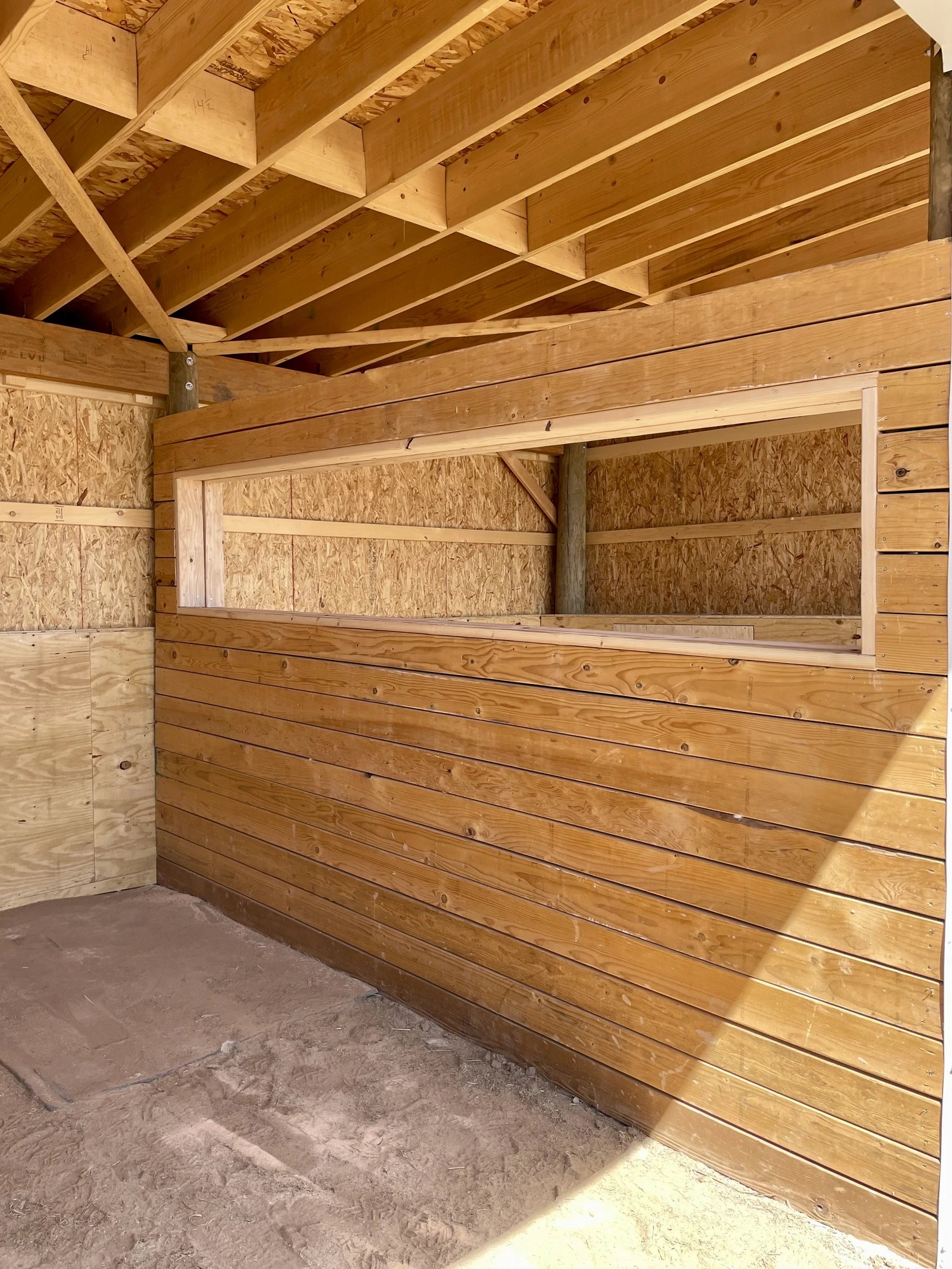 Inside a livestock run-in shelter, framed stall walls